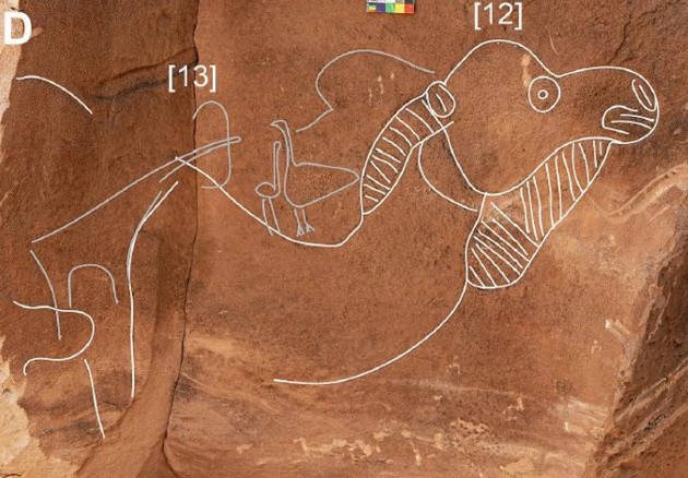 Древние изображения верблюдов в натуральную величину впечатлили ученых