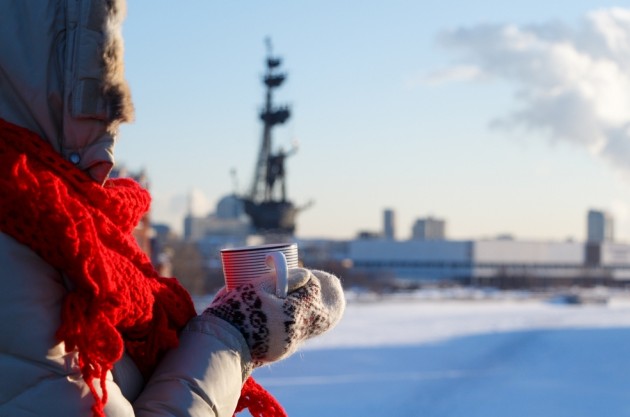В Москве первая половина календарной зимы выдалась очень холодной