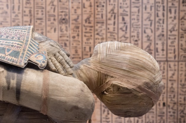 В египетских мумиях нашли следы множества болезней