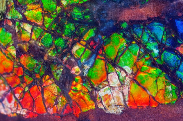 GISMETEO: Аммолит: редкий камень с ярким сиянием — он образован из древних животных