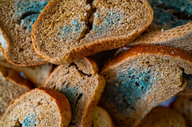 GISMETEO: Заплесневелый хлеб нельзя обрезать — врачи развеяли опасное заблуждение