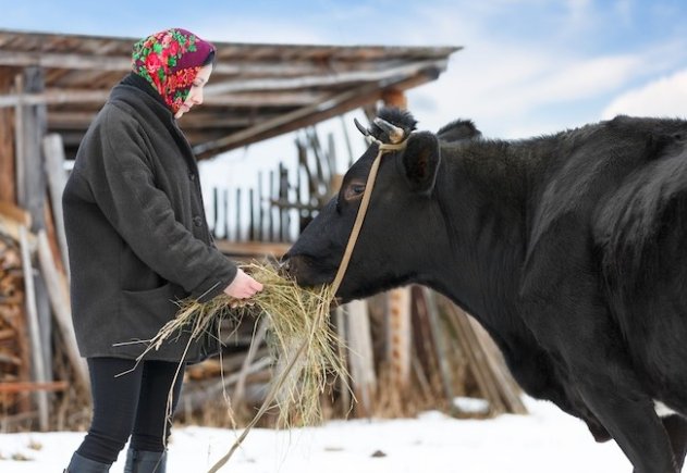 Народные приметы на 27 марта — Фёдор-скотник