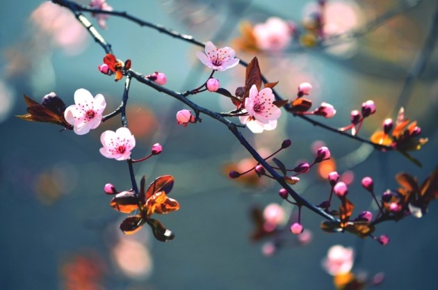 Народные приметы на 25 апреля — Василий-парильщик